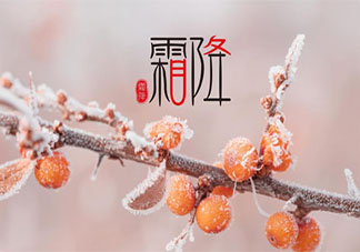 2021今日霜降暖心祝福语朋友圈说说 2021今日霜降互相问候的句子语录