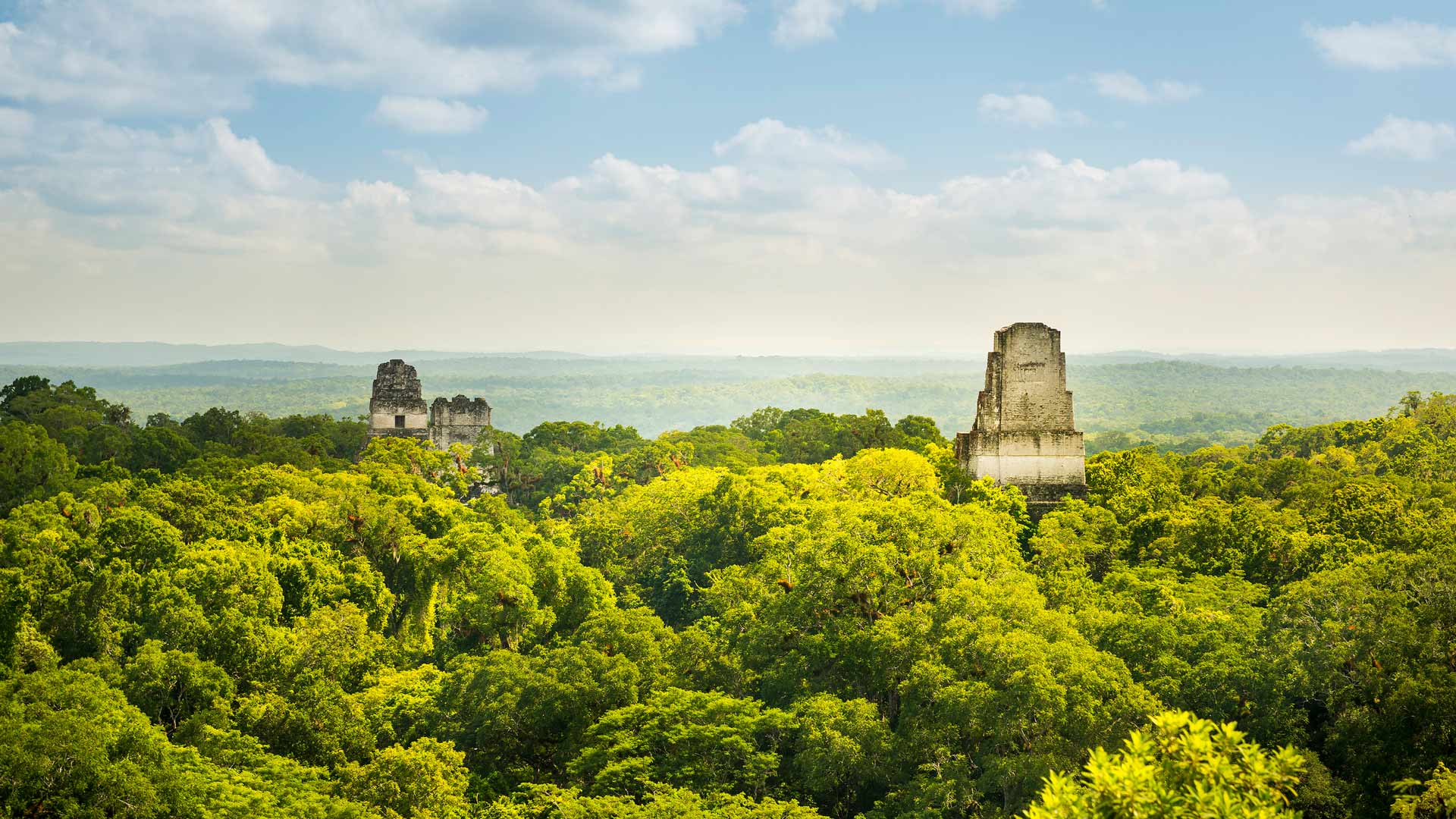 微软壁纸探索世界0504-蒂卡尔的玛雅遗址（The Maya ruins of Tikal）