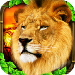 狮子模拟器中文版